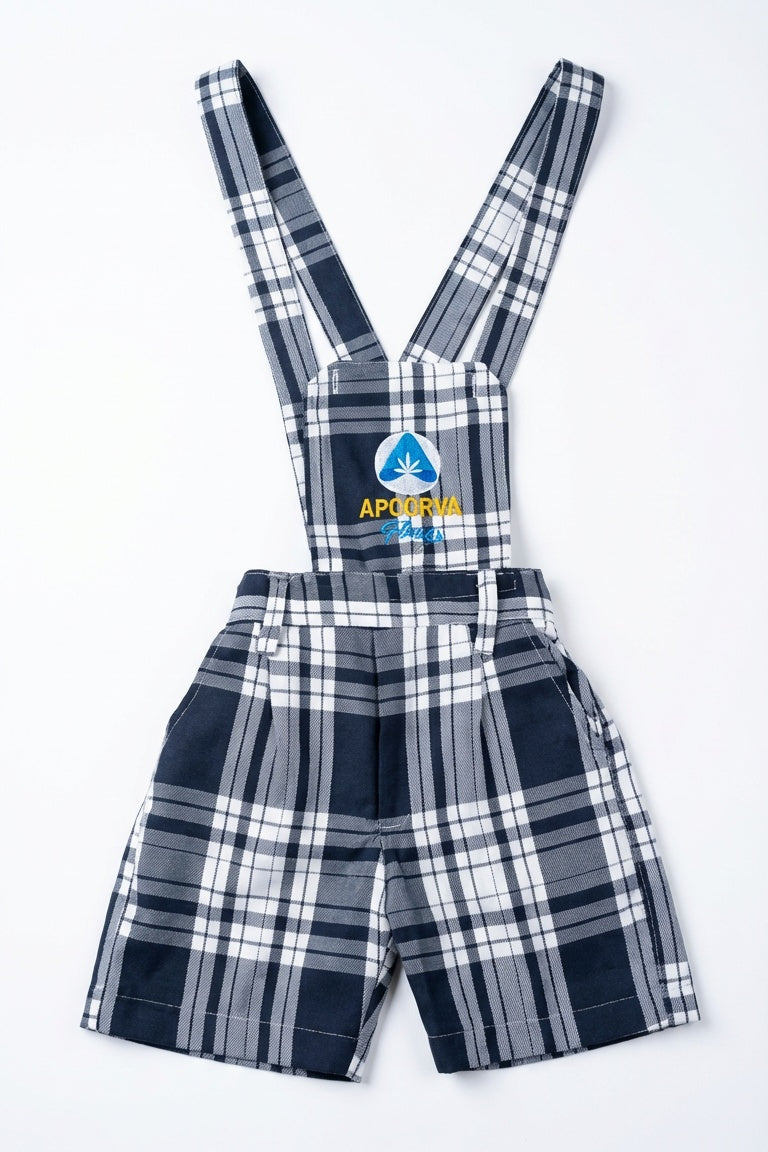 Apoorva - Box Model Neckar