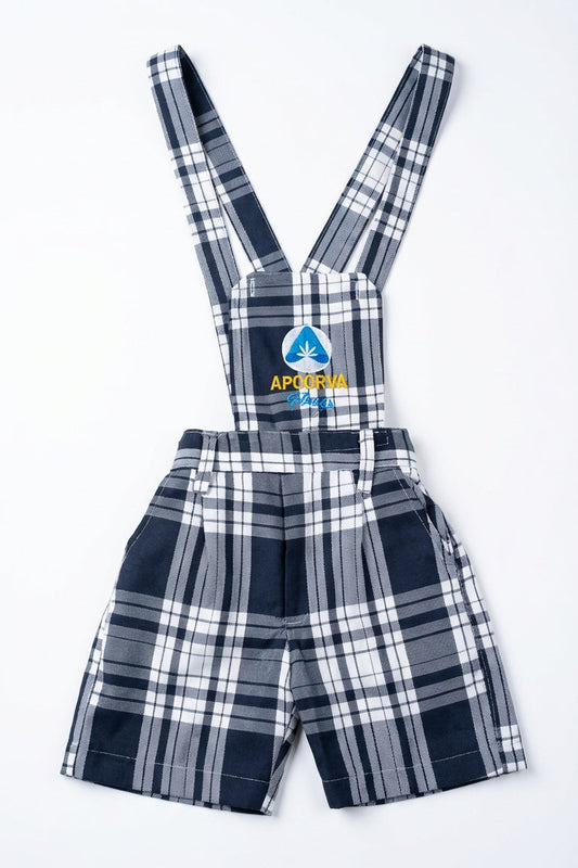 Apoorva - Box Model Neckar