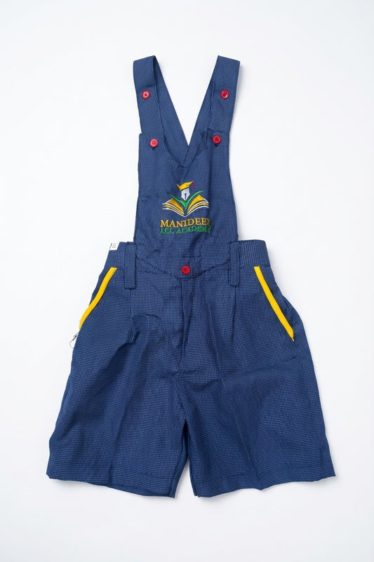 Manideep - Box Model Neckar